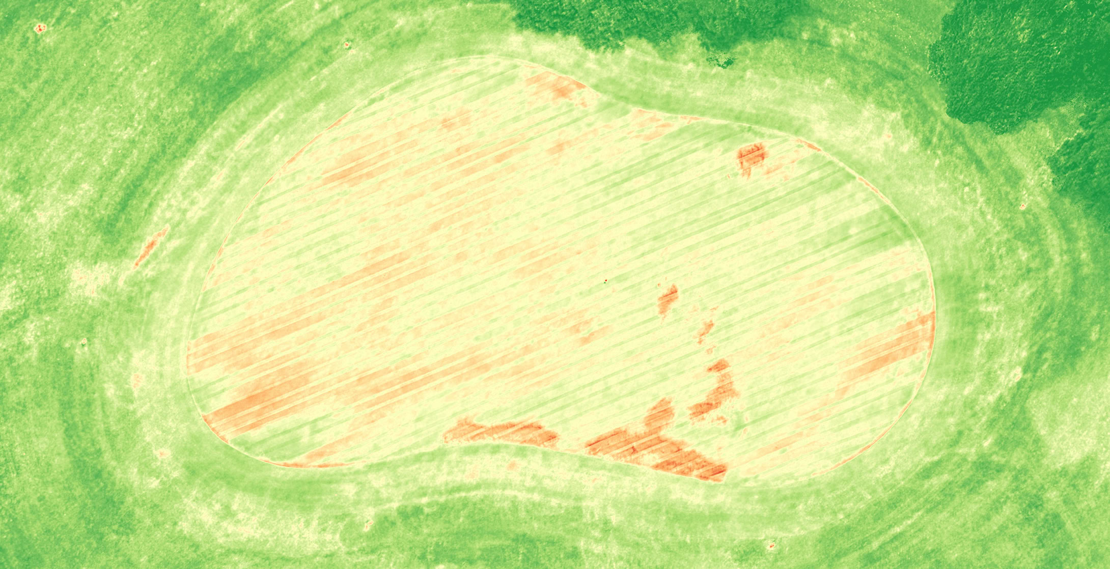 植生マップのNDVI可視化イメージ